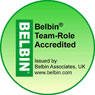 belbin logo 95